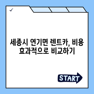 세종시 세종특별자치시 연기면 렌트카 가격비교 | 리스 | 장기대여 | 1일비용 | 비용 | 소카 | 중고 | 신차 | 1박2일 2024후기