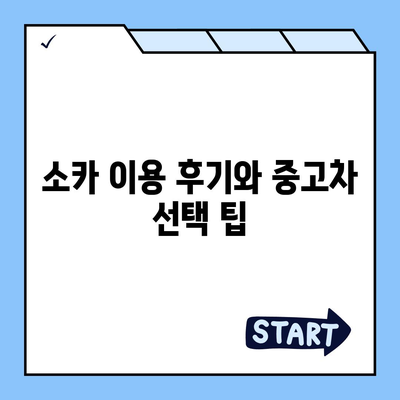 인천시 부평구 부평4동 렌트카 가격비교 | 리스 | 장기대여 | 1일비용 | 비용 | 소카 | 중고 | 신차 | 1박2일 2024후기