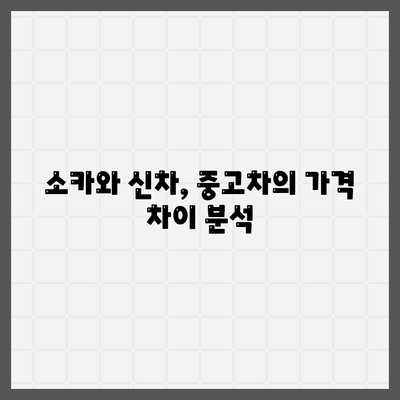 광주시 남구 사직동 렌트카 가격비교 | 리스 | 장기대여 | 1일비용 | 비용 | 소카 | 중고 | 신차 | 1박2일 2024후기