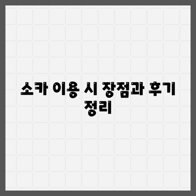 전라남도 장성군 삼서면 렌트카 가격비교 | 리스 | 장기대여 | 1일비용 | 비용 | 소카 | 중고 | 신차 | 1박2일 2024후기