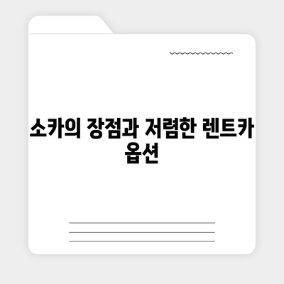 광주시 북구 동림동 렌트카 가격비교 | 리스 | 장기대여 | 1일비용 | 비용 | 소카 | 중고 | 신차 | 1박2일 2024후기