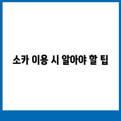 강원도 평창군 용평면 렌트카 가격비교 | 리스 | 장기대여 | 1일비용 | 비용 | 소카 | 중고 | 신차 | 1박2일 2024후기