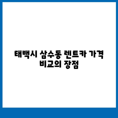 강원도 태백시 삼수동 렌트카 가격비교 | 리스 | 장기대여 | 1일비용 | 비용 | 소카 | 중고 | 신차 | 1박2일 2024후기