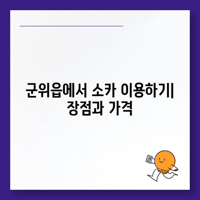 대구시 군위군 군위읍 렌트카 가격비교 | 리스 | 장기대여 | 1일비용 | 비용 | 소카 | 중고 | 신차 | 1박2일 2024후기