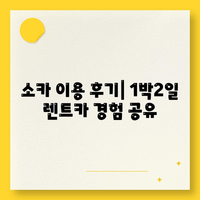 대구시 수성구 상동 렌트카 가격비교 | 리스 | 장기대여 | 1일비용 | 비용 | 소카 | 중고 | 신차 | 1박2일 2024후기