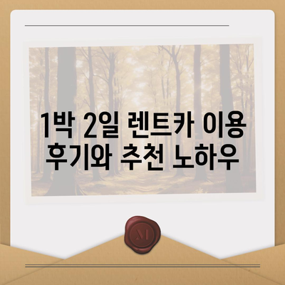 강원도 속초시 금호동 렌트카 가격비교 | 리스 | 장기대여 | 1일비용 | 비용 | 소카 | 중고 | 신차 | 1박2일 2024후기