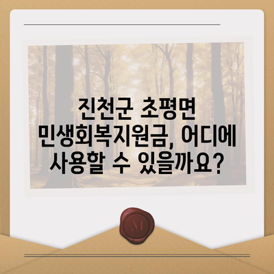 충청북도 진천군 초평면 민생회복지원금 | 신청 | 신청방법 | 대상 | 지급일 | 사용처 | 전국민 | 이재명 | 2024