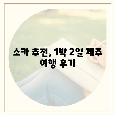 제주도 서귀포시 중문동 렌트카 가격비교 | 리스 | 장기대여 | 1일비용 | 비용 | 소카 | 중고 | 신차 | 1박2일 2024후기