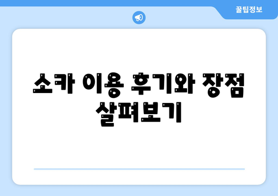 대구시 중구 동인2가동 렌트카 가격비교 | 리스 | 장기대여 | 1일비용 | 비용 | 소카 | 중고 | 신차 | 1박2일 2024후기