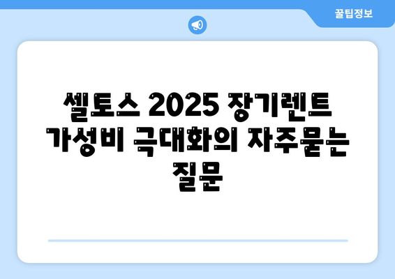 셀토스 2025 장기렌트 가성비 극대화