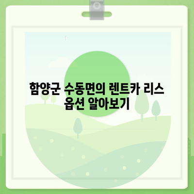 경상남도 함양군 수동면 렌트카 가격비교 | 리스 | 장기대여 | 1일비용 | 비용 | 소카 | 중고 | 신차 | 1박2일 2024후기