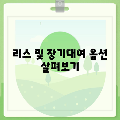 강원도 양양군 서면 렌트카 가격비교 | 리스 | 장기대여 | 1일비용 | 비용 | 소카 | 중고 | 신차 | 1박2일 2024후기