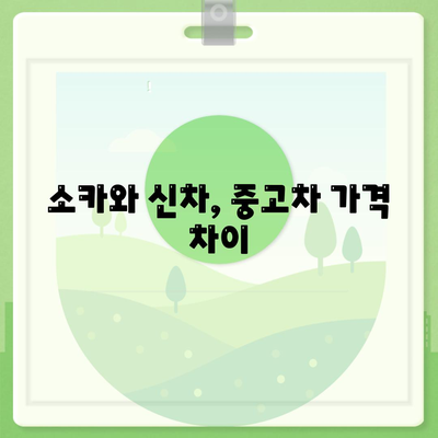 부산시 수영구 망미2동 렌트카 가격비교 | 리스 | 장기대여 | 1일비용 | 비용 | 소카 | 중고 | 신차 | 1박2일 2024후기