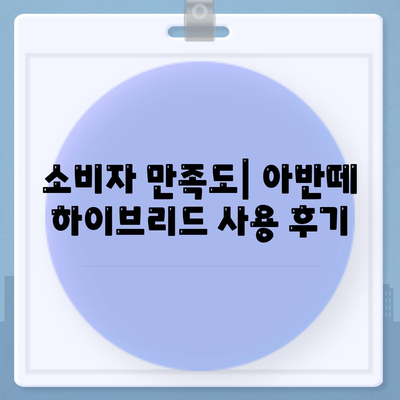 아반떼 하이브리드 장기 렌트 | 인기 비결 분석