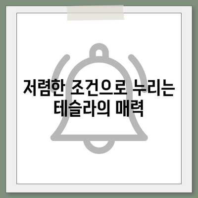 테슬라 장기 렌트 | 놀라울 정도로 저렴한 조건