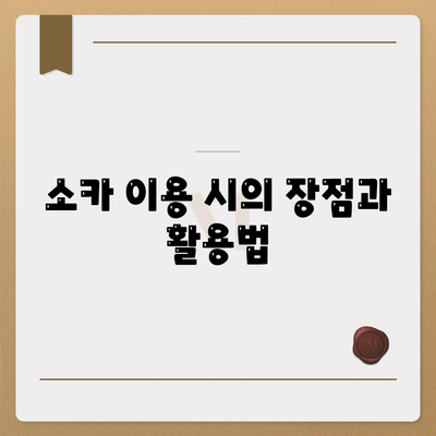 충청북도 청주시 흥덕구 강서제2동 렌트카 가격비교 | 리스 | 장기대여 | 1일비용 | 비용 | 소카 | 중고 | 신차 | 1박2일 2024후기