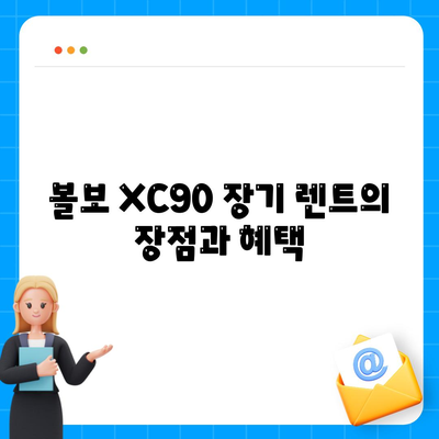 볼보 XC90 장기 렌트 업체 신속 비교