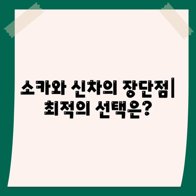 부산시 부산진구 범천1동 렌트카 가격비교 | 리스 | 장기대여 | 1일비용 | 비용 | 소카 | 중고 | 신차 | 1박2일 2024후기