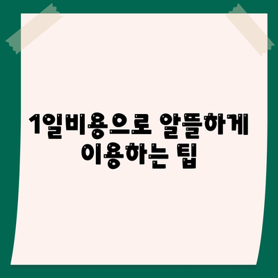 인천시 강화군 강화읍 렌트카 가격비교 | 리스 | 장기대여 | 1일비용 | 비용 | 소카 | 중고 | 신차 | 1박2일 2024후기