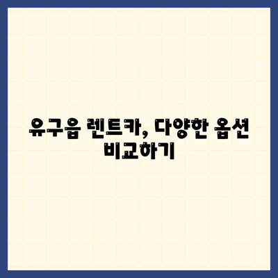 충청남도 공주시 유구읍 렌트카 가격비교 | 리스 | 장기대여 | 1일비용 | 비용 | 소카 | 중고 | 신차 | 1박2일 2024후기