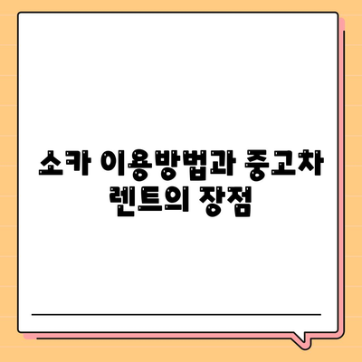 광주시 광산구 신창동 렌트카 가격비교 | 리스 | 장기대여 | 1일비용 | 비용 | 소카 | 중고 | 신차 | 1박2일 2024후기