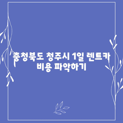 충청북도 청주시 상당구 금천동 렌트카 가격비교 | 리스 | 장기대여 | 1일비용 | 비용 | 소카 | 중고 | 신차 | 1박2일 2024후기