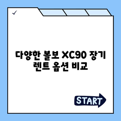 볼보 XC90 장기 렌트 업체 신속 비교