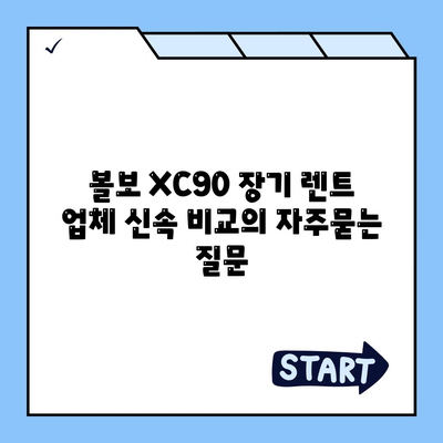 볼보 XC90 장기 렌트 업체 신속 비교