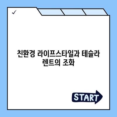 테슬라 장기 렌트 | 놀라울 정도로 저렴한 조건