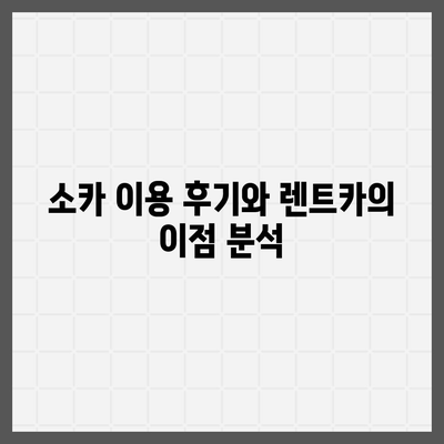 세종시 세종특별자치시 조치원읍 렌트카 가격비교 | 리스 | 장기대여 | 1일비용 | 비용 | 소카 | 중고 | 신차 | 1박2일 2024후기