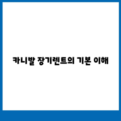 의심스러운 카니발 장기렌트 견적 분석 방법