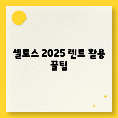 셀토스 2025 장기렌트 가성비 극대화