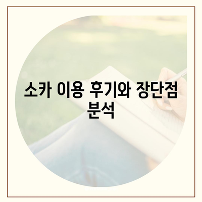 강원도 영월군 주천면 렌트카 가격비교 | 리스 | 장기대여 | 1일비용 | 비용 | 소카 | 중고 | 신차 | 1박2일 2024후기