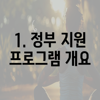 1. 정부 지원 프로그램 개요