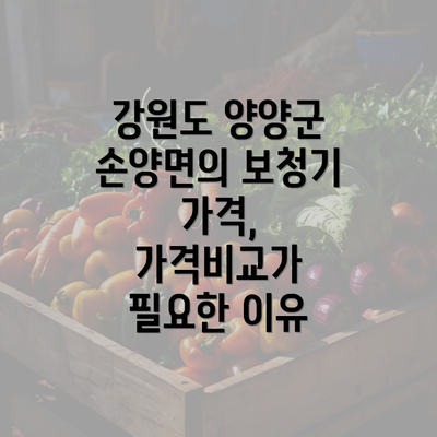 강원도 양양군 손양면의 보청기 가격, 가격비교가 필요한 이유