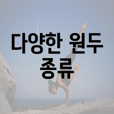 다양한 원두 종류