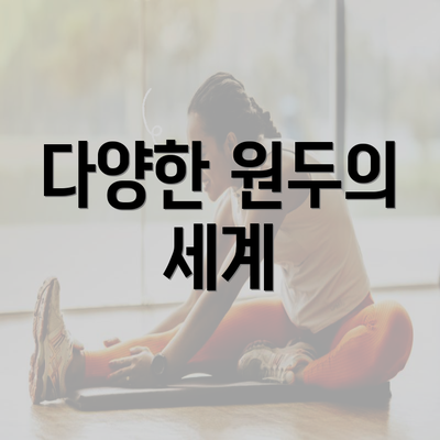 다양한 원두의 세계