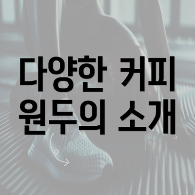 다양한 커피 원두의 소개