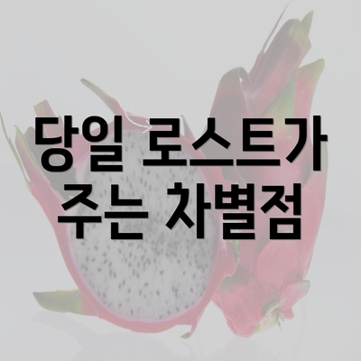 당일 로스트가 주는 차별점