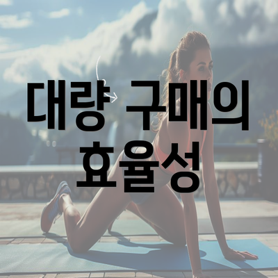 대량 구매의 효율성