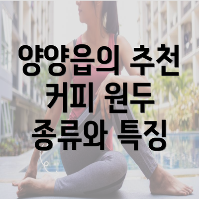 양양읍의 추천 커피 원두 종류와 특징