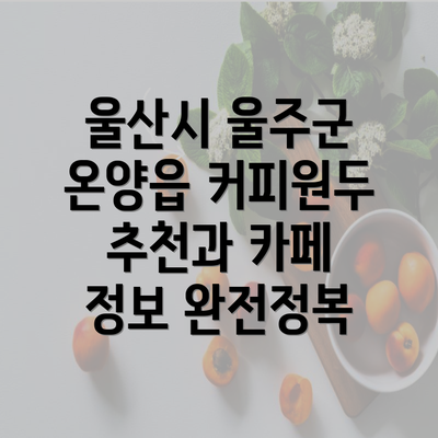 울산시 울주군 온양읍 커피원두 추천과 카페 정보 완전정복