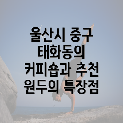 울산시 중구 태화동의 커피숍과 추천 원두의 특장점