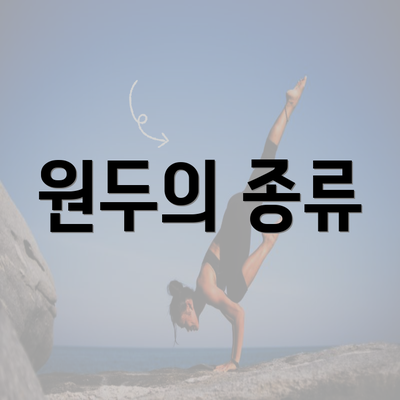 원두의 종류