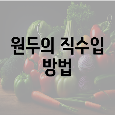 원두의 직수입 방법