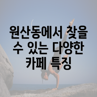 원산동에서 찾을 수 있는 다양한 카페 특징