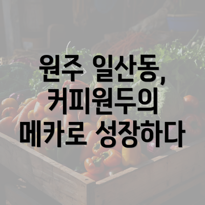 원주 일산동, 커피원두의 메카로 성장하다