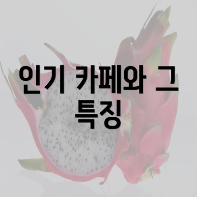 인기 카페와 그 특징