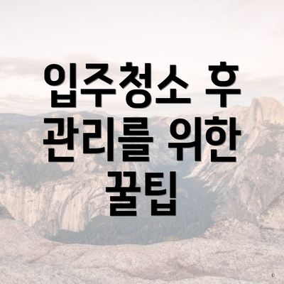 입주청소 후 관리를 위한 꿀팁