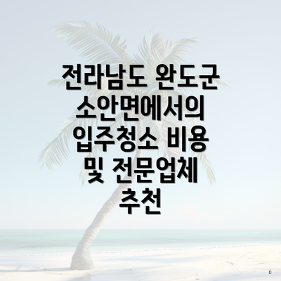 전라남도 완도군 소안면에서의 입주청소 비용 및 전문업체 추천